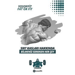 Sırt Kasları Hakkında Bilmeniz Gereken Her Şey
