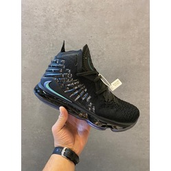 Lebron 17 