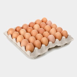 Gezen Tavuk Yumurtası 30 adet