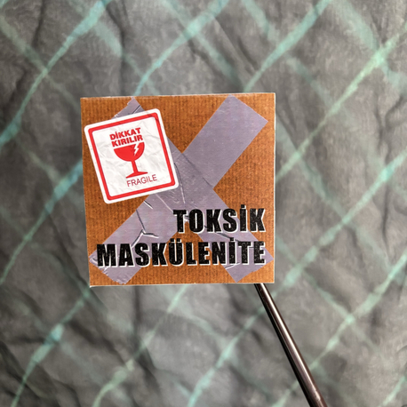 Toksik Maskülenite - Magnet