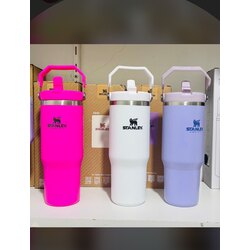 Stanley 800 ml Kapaklı Termos