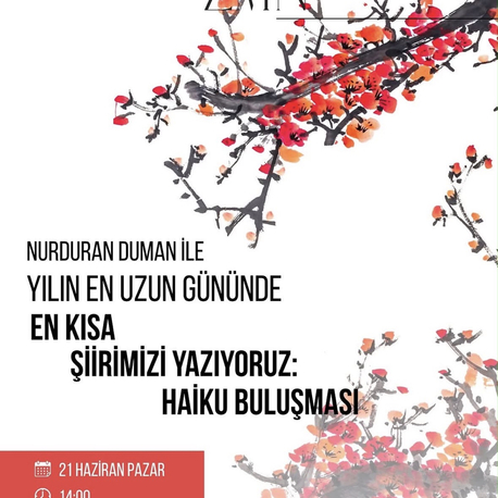 HAİKU BULUŞMASI