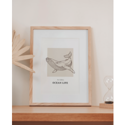 Whale Art Print / Ocean Collection