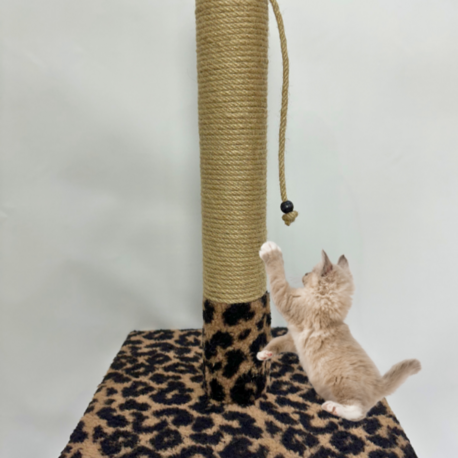 Peluş Dokulu Desenli Kedi Tırmalama Tahtası 42 cm Soft Sevilen Renkler