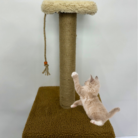 Peluş Dokulu Tek Adımlı Tekli Tırmalama Tahtası 44 cm Soft Sevilen Renklerkli