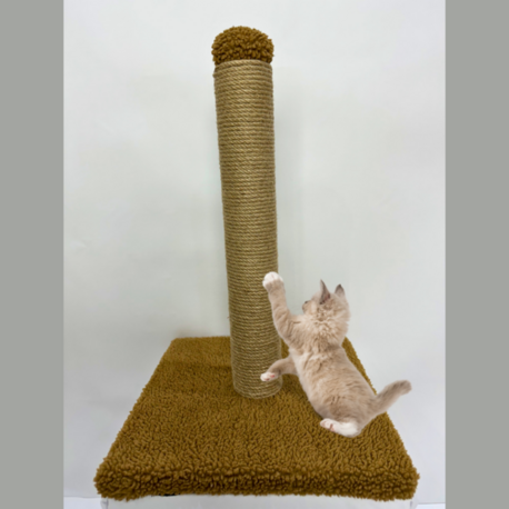 Peluş Dokulu Tekli Kedi Tırmalama Tahtası 42 cm Soft Sevilen Renkler