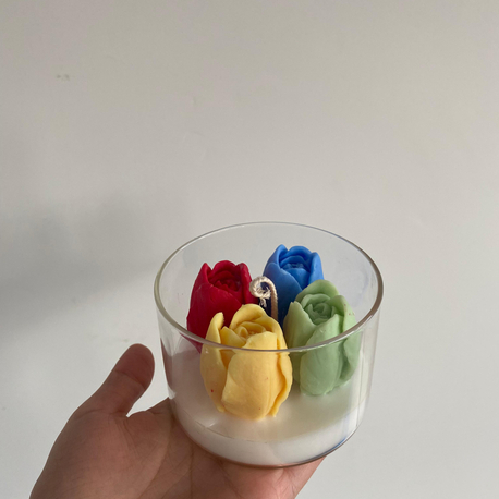Minik Lale Bahçesi 