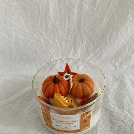 Autumn’s Little Treasure