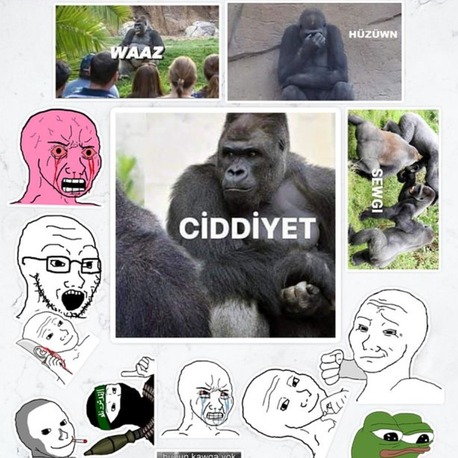Wojak Ve Goril Memes Sticker Paketi (20 ADET)