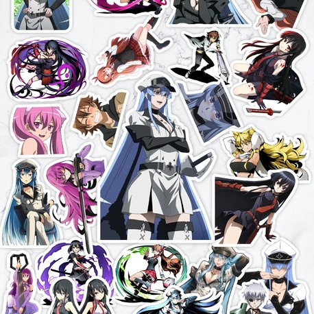 Akame ga Kill Anime Sticker Paketi (24 Sticker)