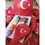 Yumurtlayan kalem