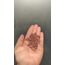 Kaygısı Çekirdeği . 500 gram