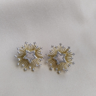 VİP PİREMİUM SERİ ZİRKON TAŞLI YILDIZ MODEL KÜPE