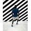 NORTFACE WICKER GRAPHIC T-SHIRT MAVI