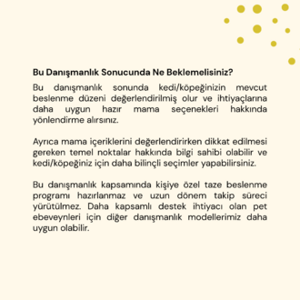 Hazır Mama Danışmanlığı
