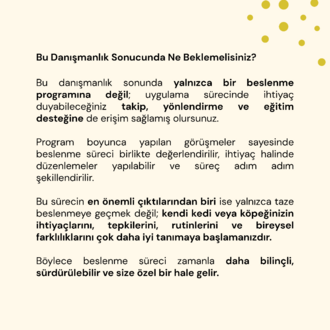 Kapsamlı Beslenme Danışmanlığı