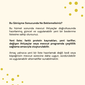 Yeni Beslenme Listesi