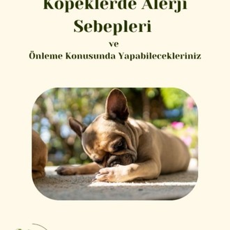 Köpeklerde Alerji Sebepleri ve Önlemler