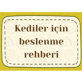 Kedi Beslenme Rehberi