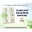 Elmalı Sayı Eşleştirme Kartları|Sayı Bilgi Kartları|Montessori bilgi kartları