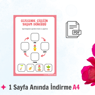 Çiçeğin Yaşam Döngüsü | Okul Öncesi Yazdırılabilir Etkinlik | Kes Yapıştır