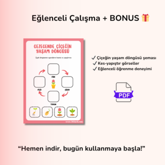 Çiçeğin Yaşam Döngüsü | Okul Öncesi Yazdırılabilir Etkinlik | Kes-Yapıştır PDF