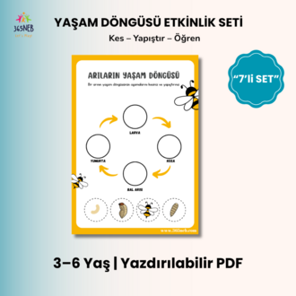 Yaşam Döngüsü Etkinlik Seti (7 Tema) | Okul Öncesi Yazdırılabilir PDF | Kes-Yapıştır