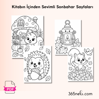 Sincap Puki ile Sonbahar Boyama Macerası | 4+Yaş | 20+ Sayfa PDF