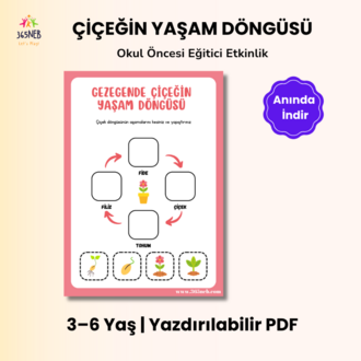 Çiçeğin Yaşam Döngüsü | Okul Öncesi Yazdırılabilir Etkinlik | Kes-Yapıştır PDF