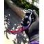 Yağmacı Karambit kırmızı