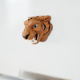 Kaplan Magnet