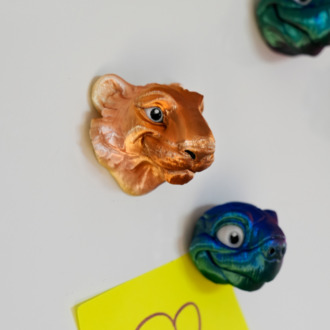 Aslan Magnet