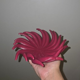 Spiral Şölen (Meyvelik)