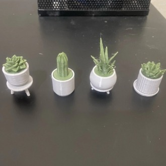 5'li mini saksı dekoru