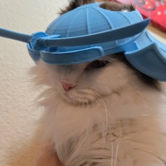 Kedi samuray maskesi
