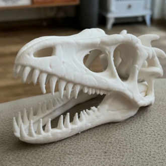 Dinozor İskelet Dekor