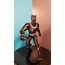 Black Panther Figürü