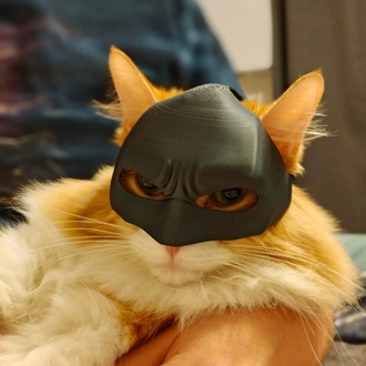 BATCAT