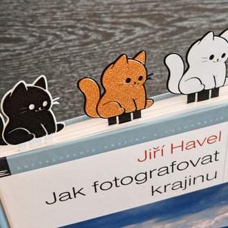 Kedi Kitap Ayracı