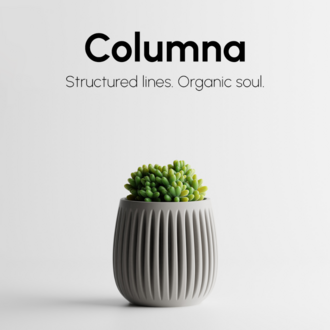 Columna Saksı