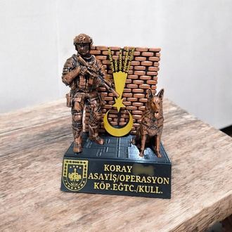 Şualı Savaşçı ve Yol Arkadaşı