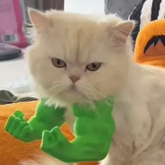 Kedi Aksesuar Kolları – Süper Kahraman Temalı 3D Baskı
