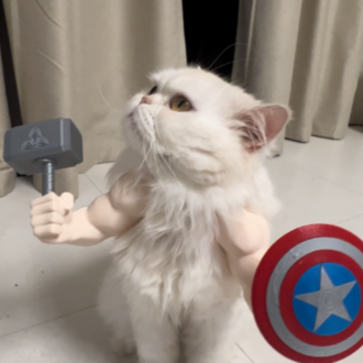Kedi Aksesuar Kolları – Süper Kahraman Temalı 3D Baskı