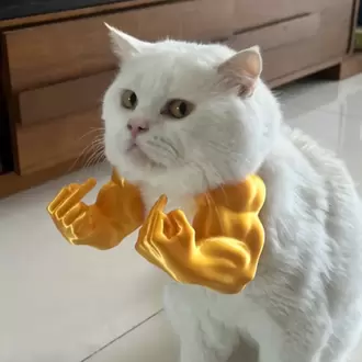 Kedi Aksesuar Kolları – Süper Kahraman Temalı 3D Baskı