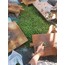 kırma zeytin