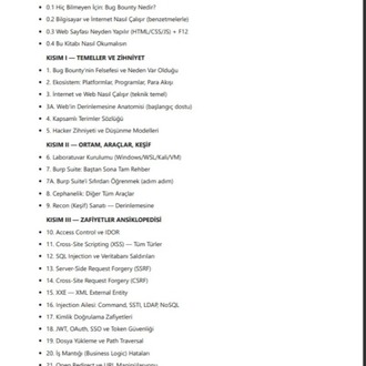 Bug Bounty Ustalık Rehberi — Sıfırdan Gelire