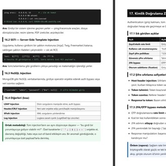 Bug Bounty Ustalık Rehberi — Sıfırdan Gelire