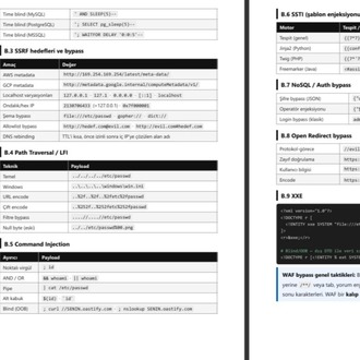 Bug Bounty Ustalık Rehberi — Sıfırdan Gelire