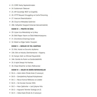 Bug Bounty Ustalık Rehberi — Sıfırdan Gelire