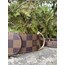 Brown Lv Checker Dog Collar-Leash Set. Desinger Dog Collar Set.